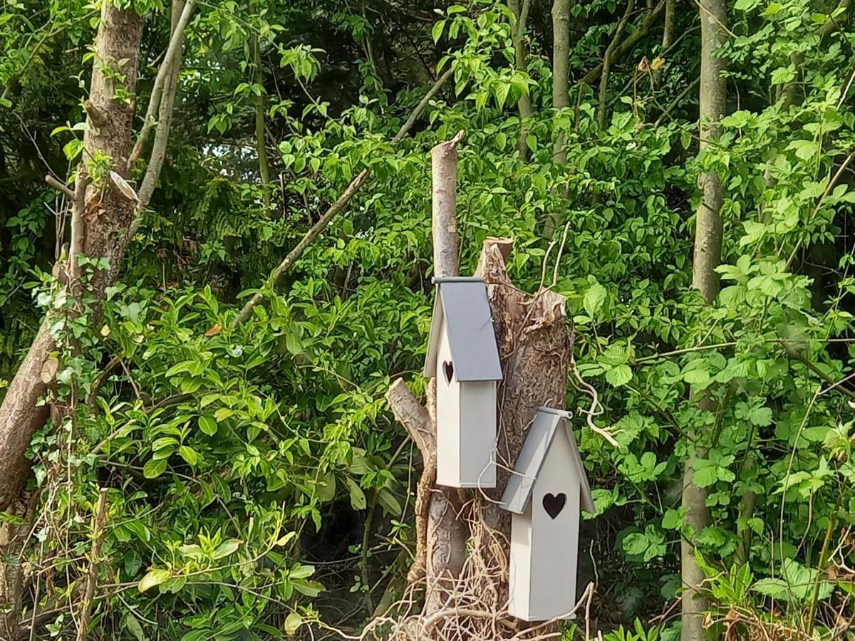 Natuurhuisje Eartswoud *