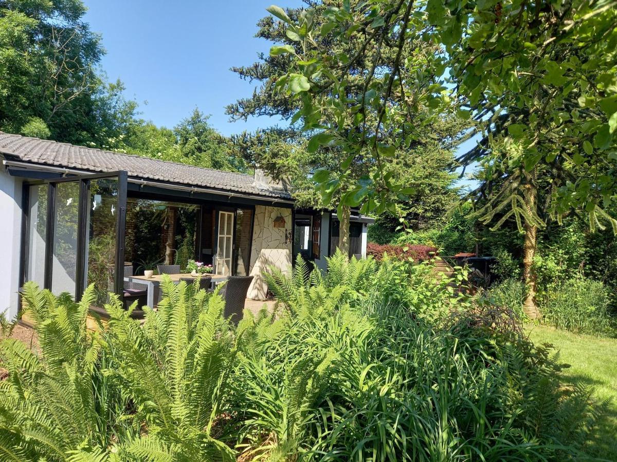 Natuurhuisje Eartswoud Aartswoud