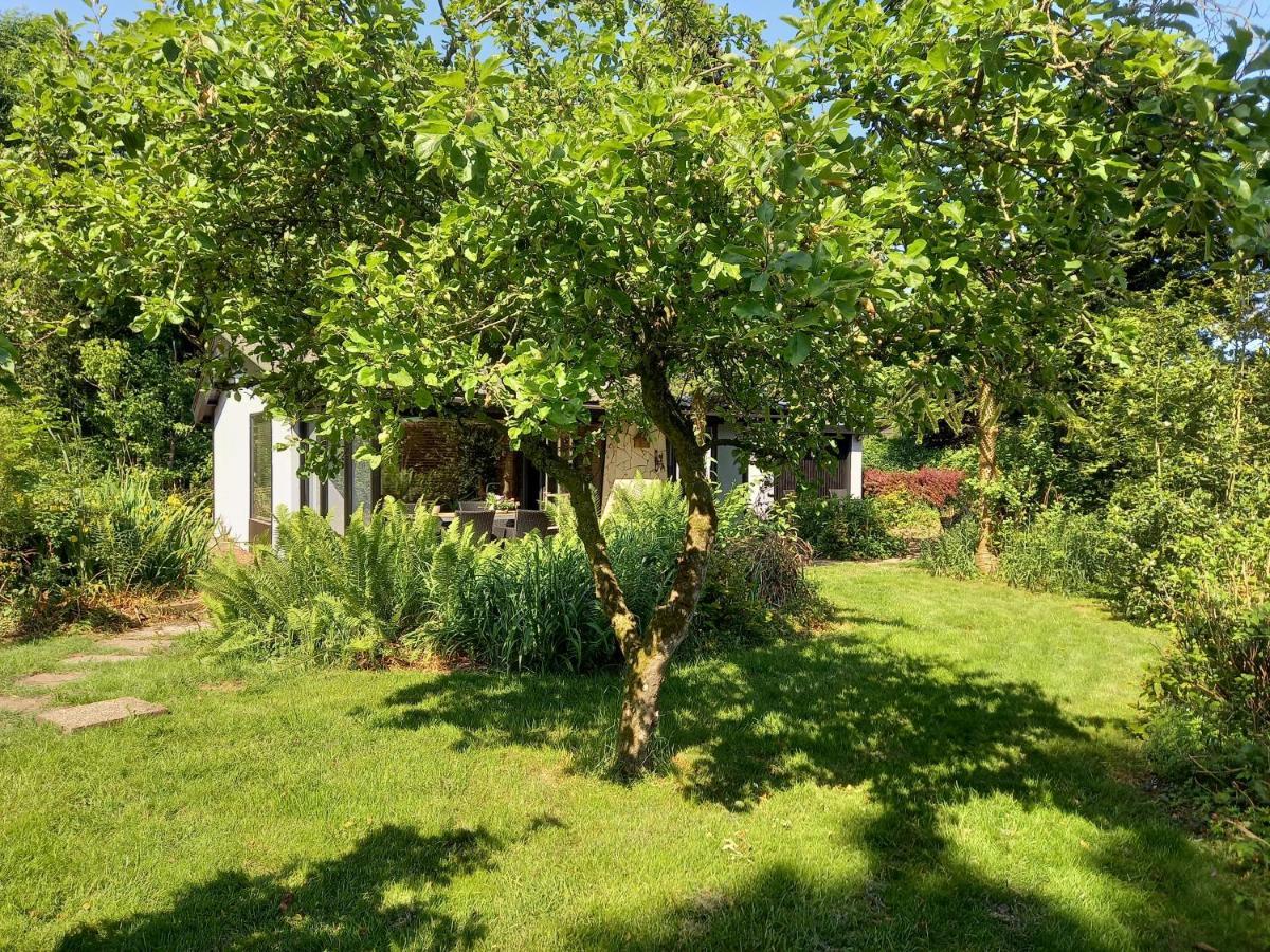 Casa de Férias Natuurhuisje Eartswoud *